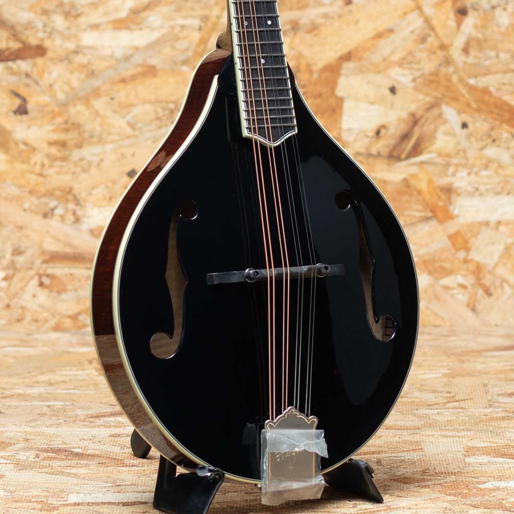 フラットマンドリン/Mandolin Lovers Club フラットマンドリン