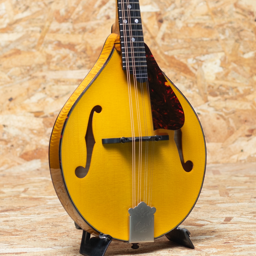 Mandolin（マンドリン）一覧 | | 三木楽器公式通販サイト(並び順：安い