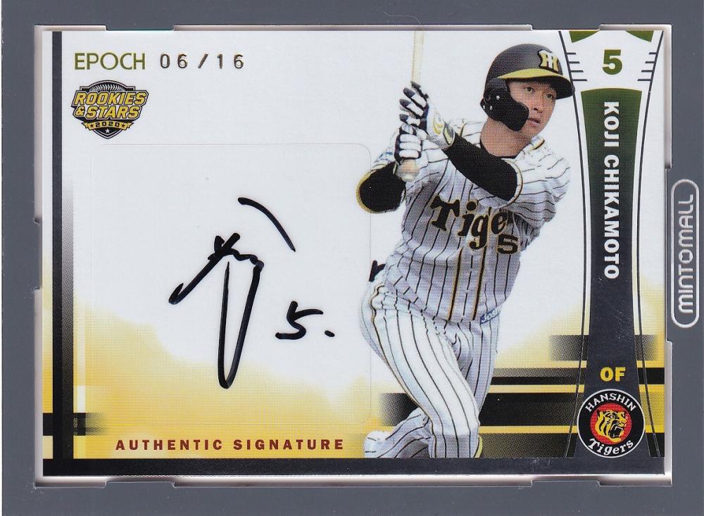 阪神タイガース オンサイトカード SSR 直筆サインカード 近本光司 25枚