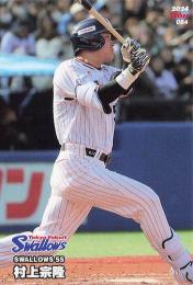 ミントモール / MINT BASE店 (TCシングル通販) / 2024 カルビー プロ