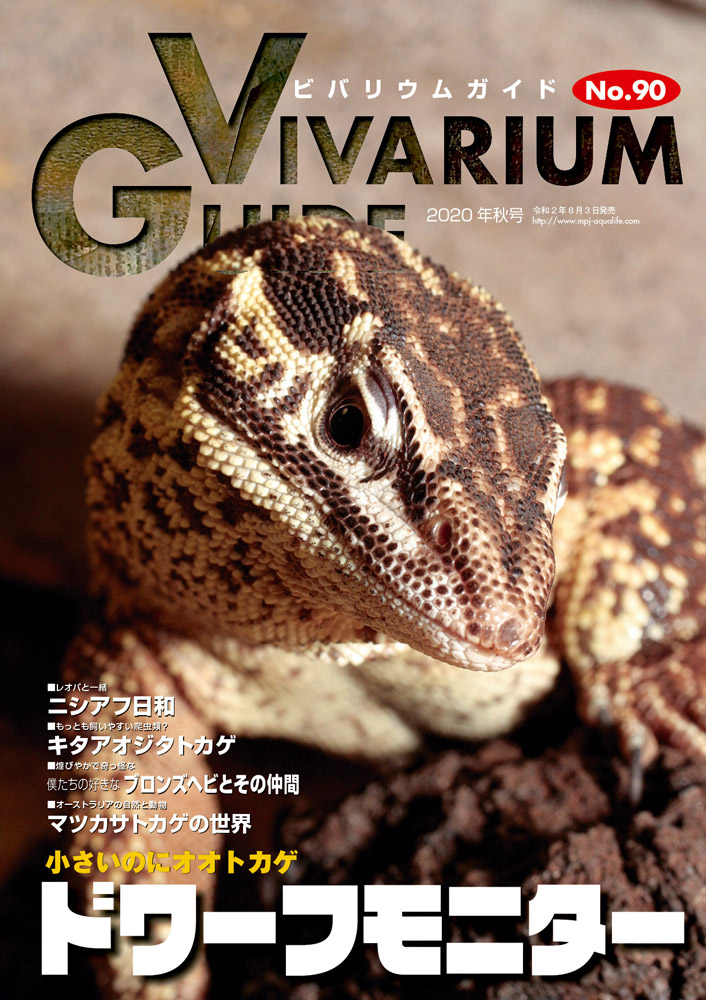 ビバリウムガイドNo.90は2020年8月3日発売！ ｜ エムピージェー