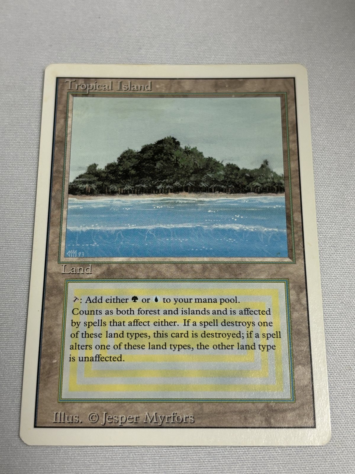 Tropical Island》 3ED SP - MTG専門店 Initiative