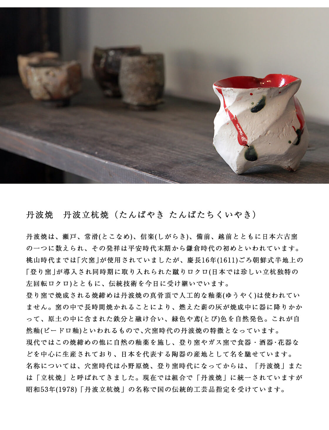 丹波焼 丹波立杭焼 丹文窯 大西雅文 焼き締め 白丹波UKU 中鉢 中皿