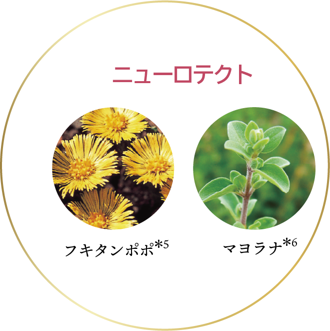 スペチアーレ×ニューロジック 薬用セラム｜商品情報｜ノエビア