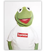 Supreme ケイトモス（Kermit）のポスターを販売 ー NOISEKING ノイズキング