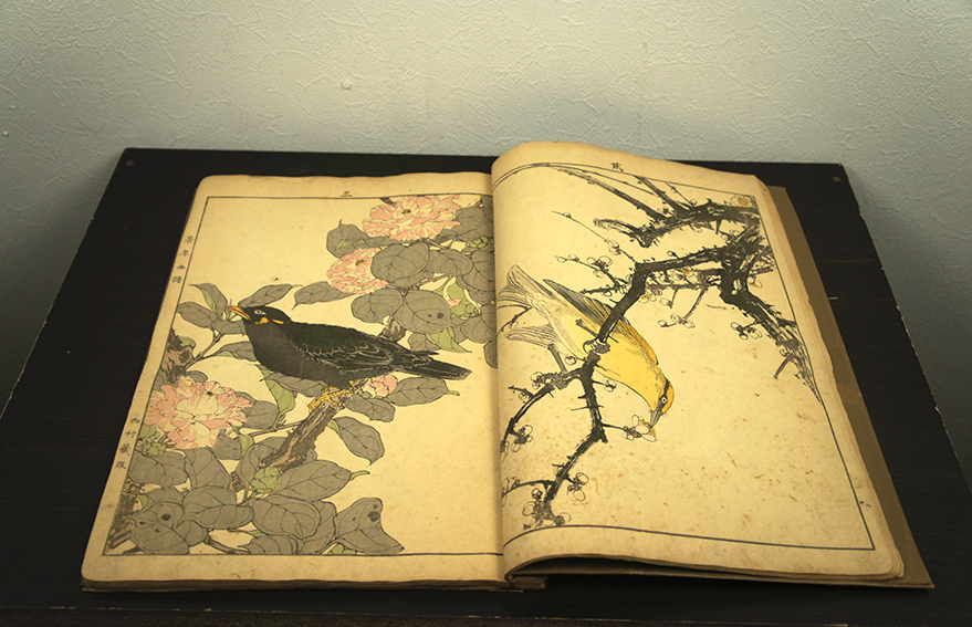 今尾景年 景年花鳥画譜春部 / Keinen Imao | Natsume Books