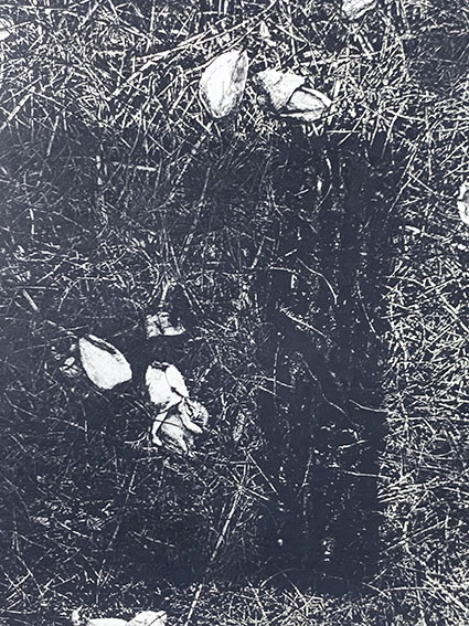 中林忠良版画額「転位'85 地II」 | Natsume Books