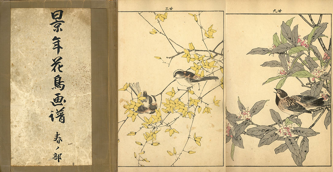 今尾景年 景年花鳥画譜春部 / Keinen Imao | Natsume Books