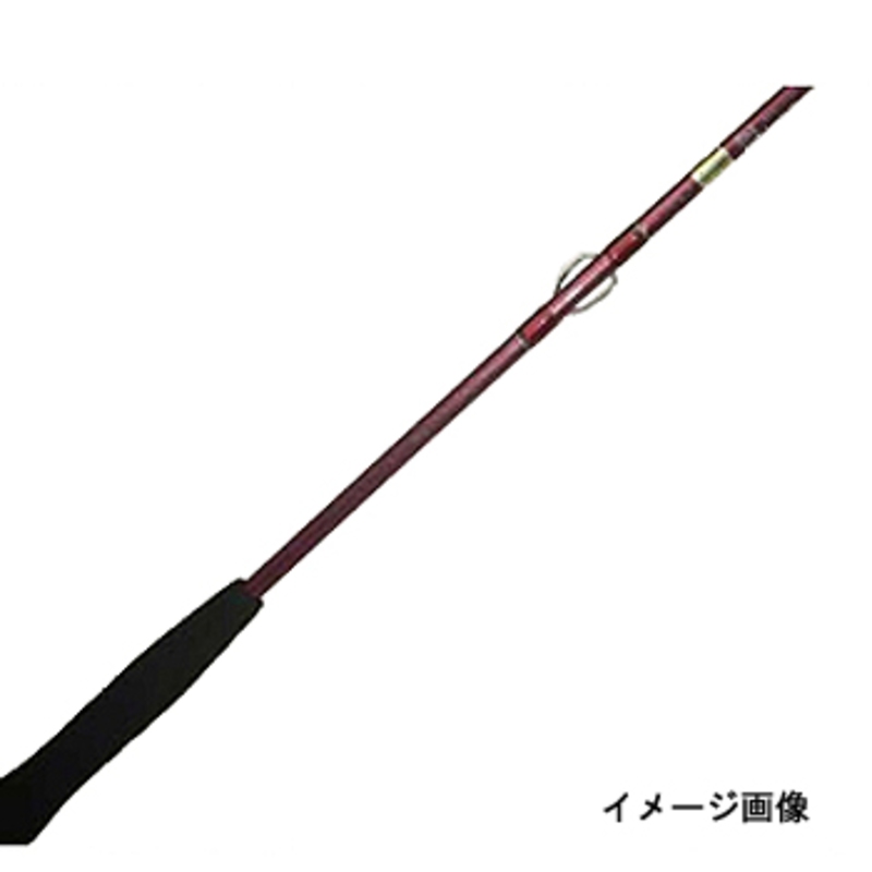 ダイワ(Daiwa) リーディングX ヒラメ 300 05291336｜アウトドア用品