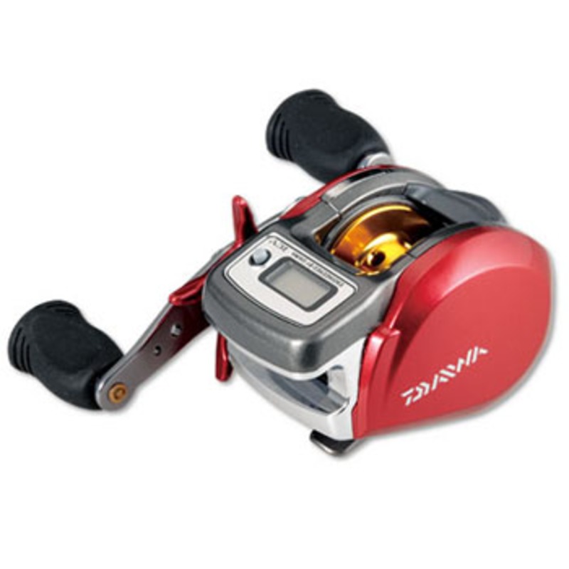 114_1_800.jpg?20100312141704