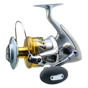 411_1.jpg?20090326103952