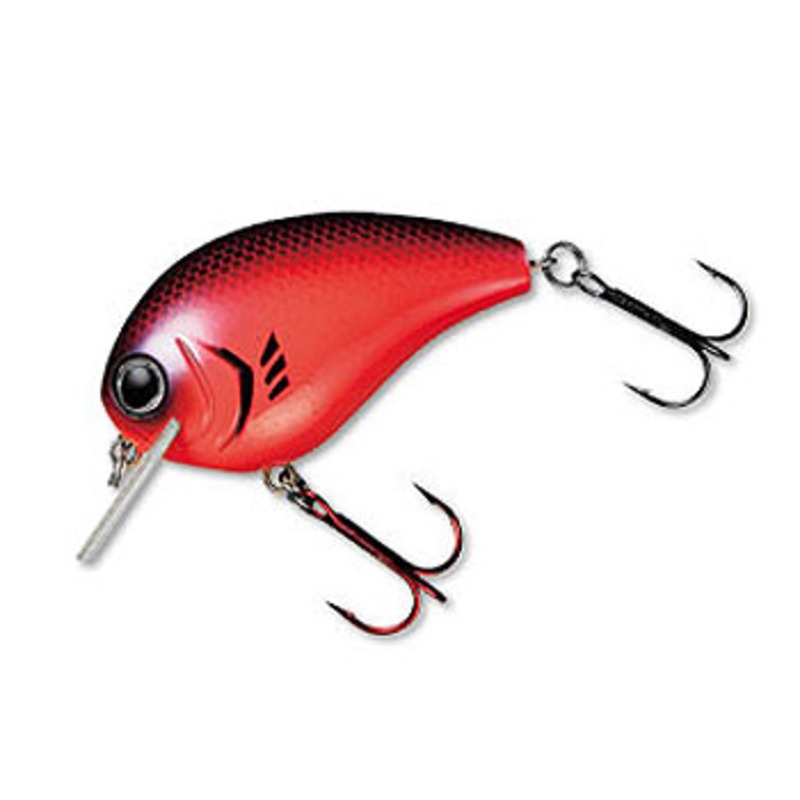 853_1_800.jpg?20080418192628