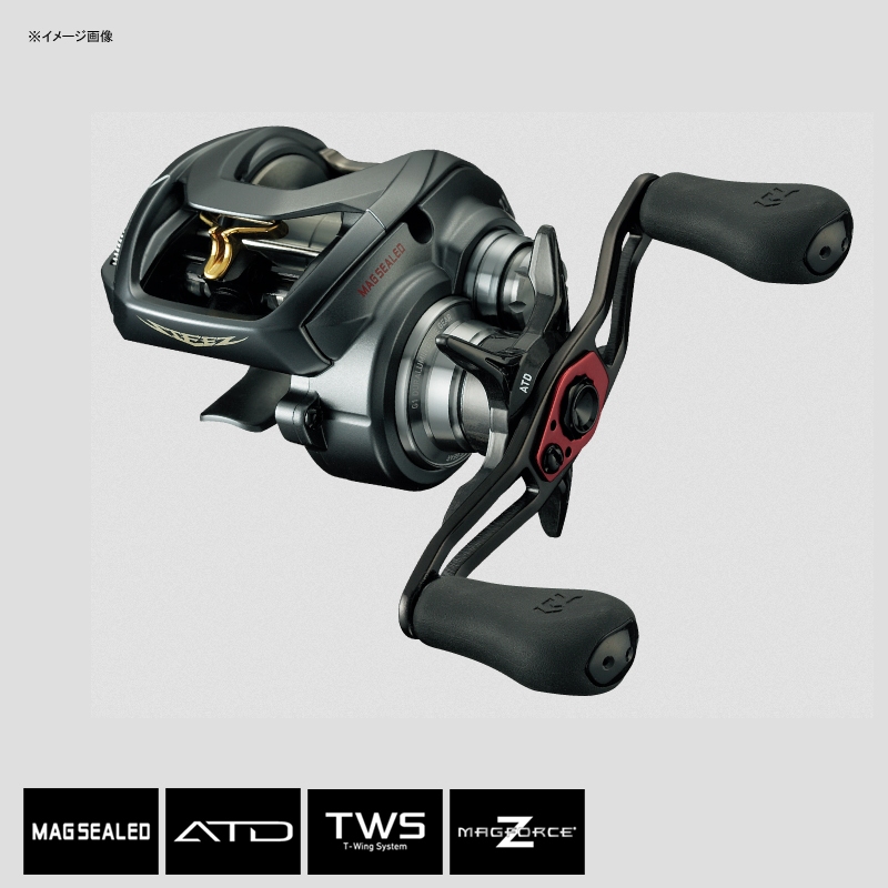 ダイワ(Daiwa) スティーズ A TW 1016SH 右巻き 00613374｜アウトドア