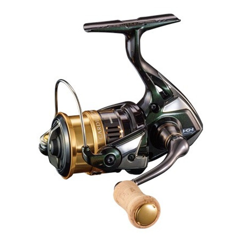 411_1_800.jpg?20180809174245