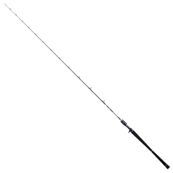 ダイワ ソルティガZ40 ＆ ソルティガ ヒラマサ 56HB ジギング ダイワ