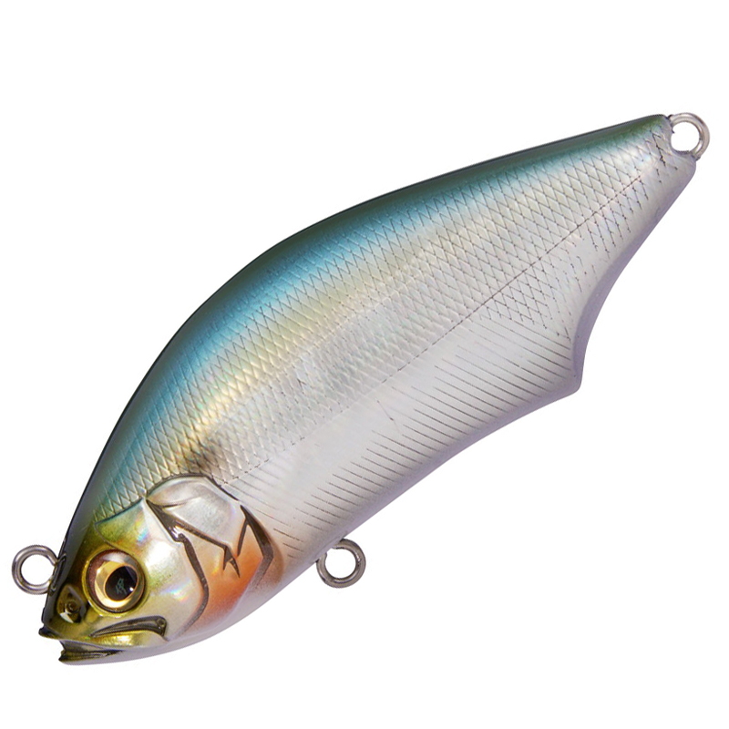 539_1_800.jpg?20240927111655