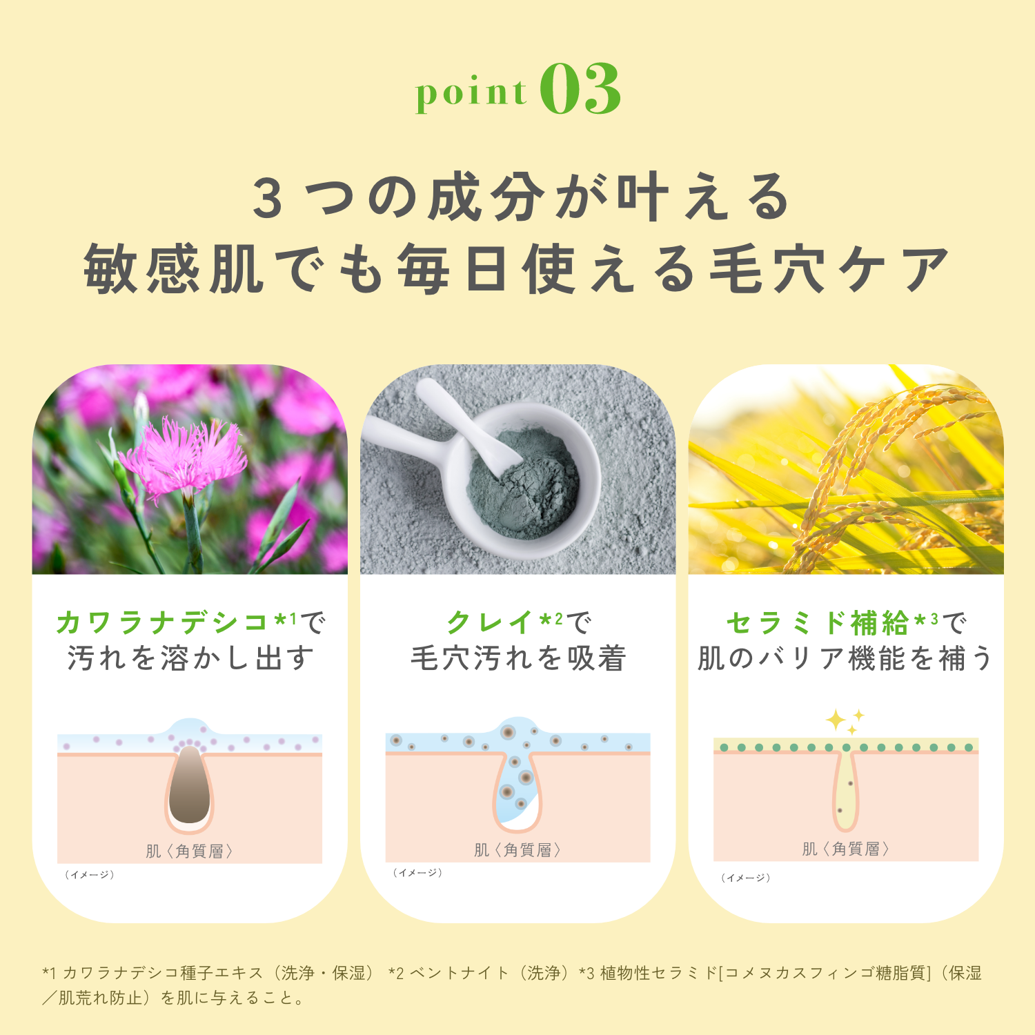 aglis オスキウイ花粉 ニュージーランド南 島産 20g［クール便発送