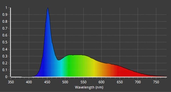 売り切り終売】ZOOX Shallow Reef RAYS - 海水魚ショップ ナチュラル
