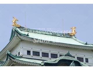 金鯱 | フォトライブラリー | 【公式】名古屋市観光情報「名古屋