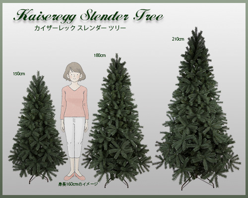 Nakajo's Christmas クリスマスツリー販売 カイザーレックスレンダー