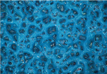 ゼットベルト 青 | ニューレジストン