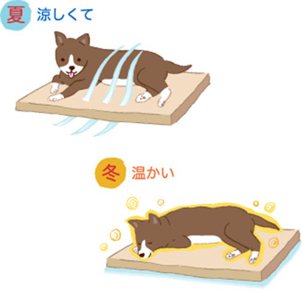 ペットケアマットNEO | 爽快潔Living