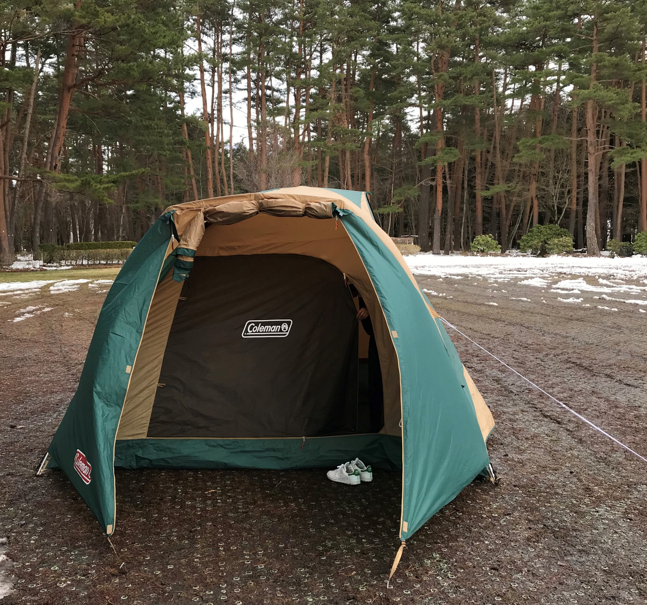 キャンプ初心者におすすめテント「コールマン:タフワイドドーム
