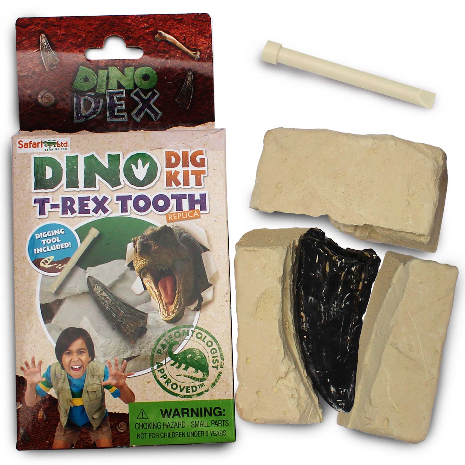 Dino Dexter Dino Tyrannosaurus Rex Tooth Dig Kit | Safari Ltd®
