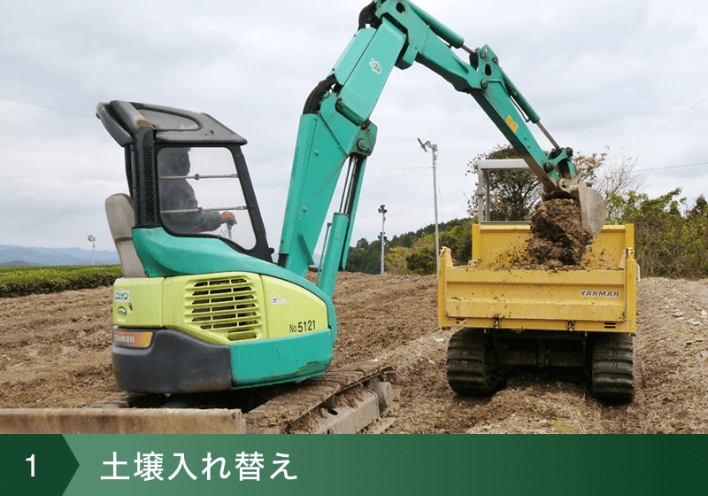 農園紹介｜自園謹製八女茶 斎藤茶園