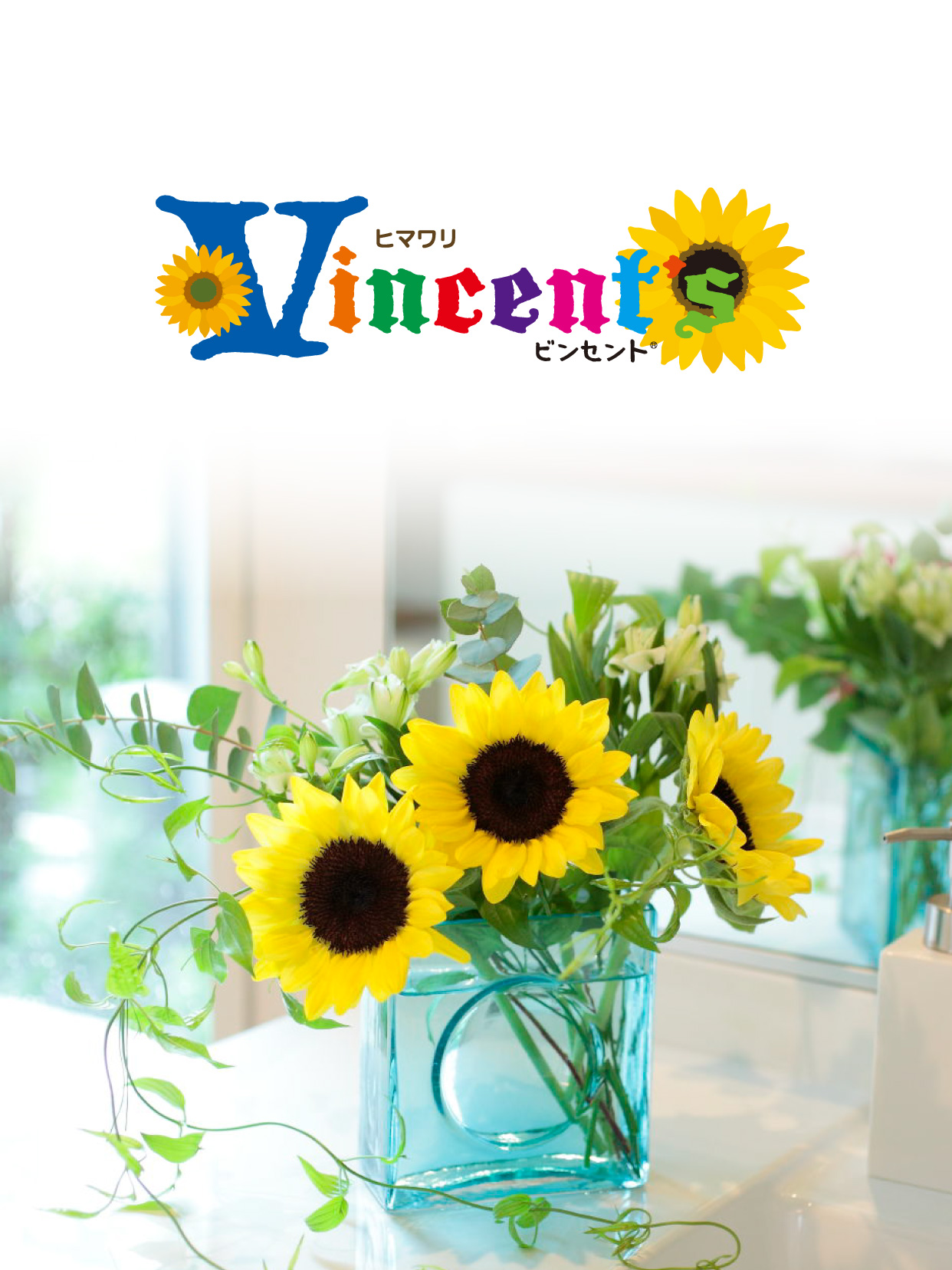 ヒマワリ ビンセント｜タネ・苗・園芸用品・農業用資材の総合案内