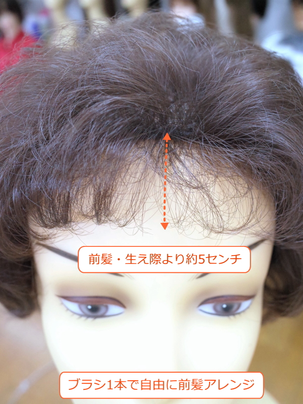 フルウィッグ ミセス・シニア向 総手植え製ショートカール hm33s 医療