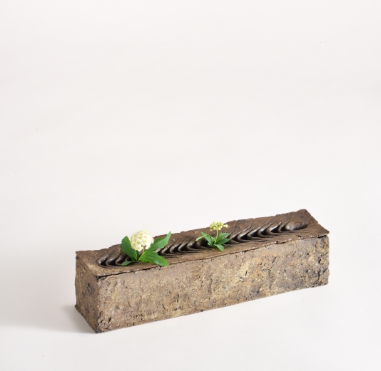 泉田之也展 1/2Gravity | 展覧会 | ギャラリー 桜の木