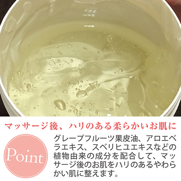 LLE(業務用)アクティブジェル(ベーシック)1000g / プロ専用エステ・理