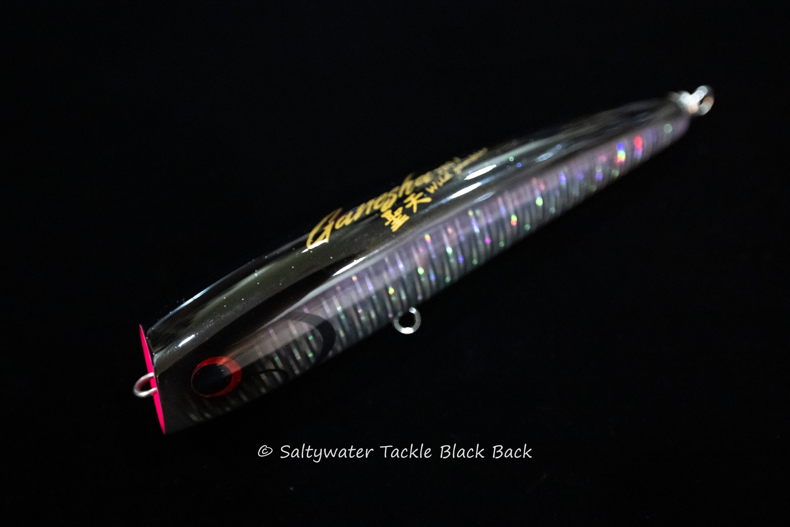 Wild Gambler Ganesha 200F - Saltywater Tackle Inc.