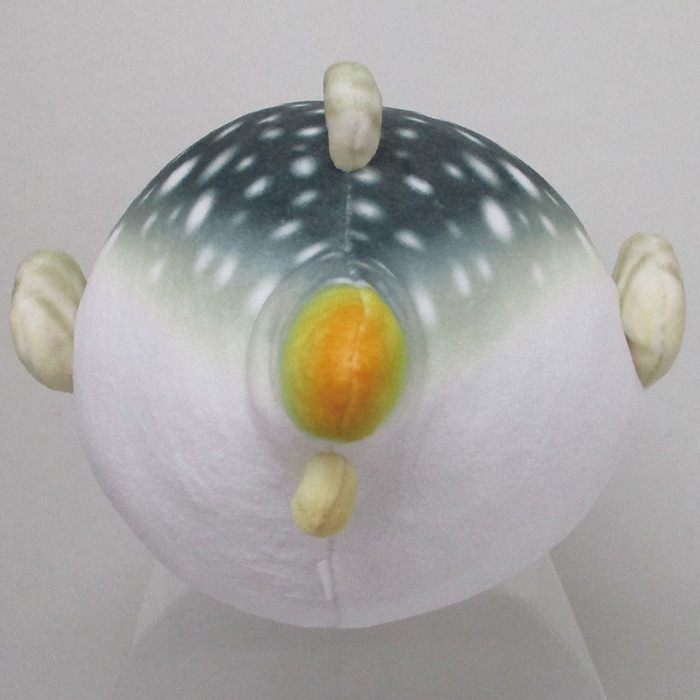 もちもち フグ｜三英貿易株式会社