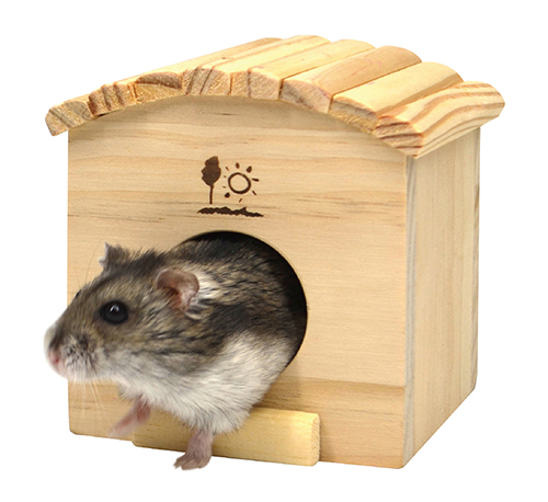 ウッドハウス プチ丸太F ｜ 株式会社三晃商会