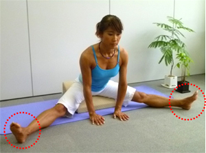 フレックスクッション for ストレッチ＆骨盤調整。フレックス