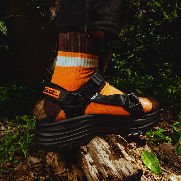 Logo Line Socks | STUDIO SEVEN (スタジオ セブン)