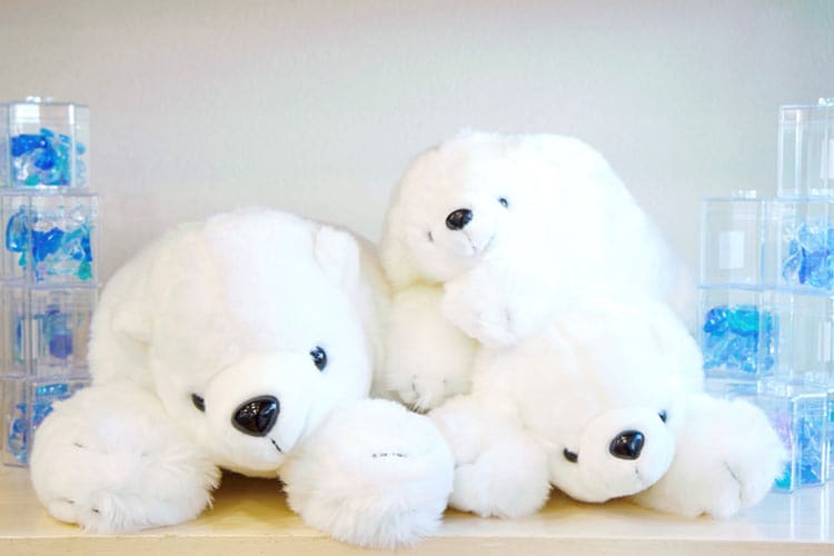 フレッシュルース｜横浜・八景島シーパラダイス - YOKOHAMA HAKKEIJIMA