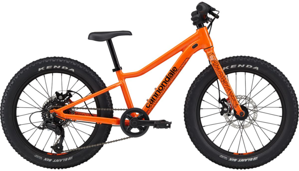 Cannondale Trail Plus 20 - Trailhead Cycling | Champlin & Plymouth, MN
