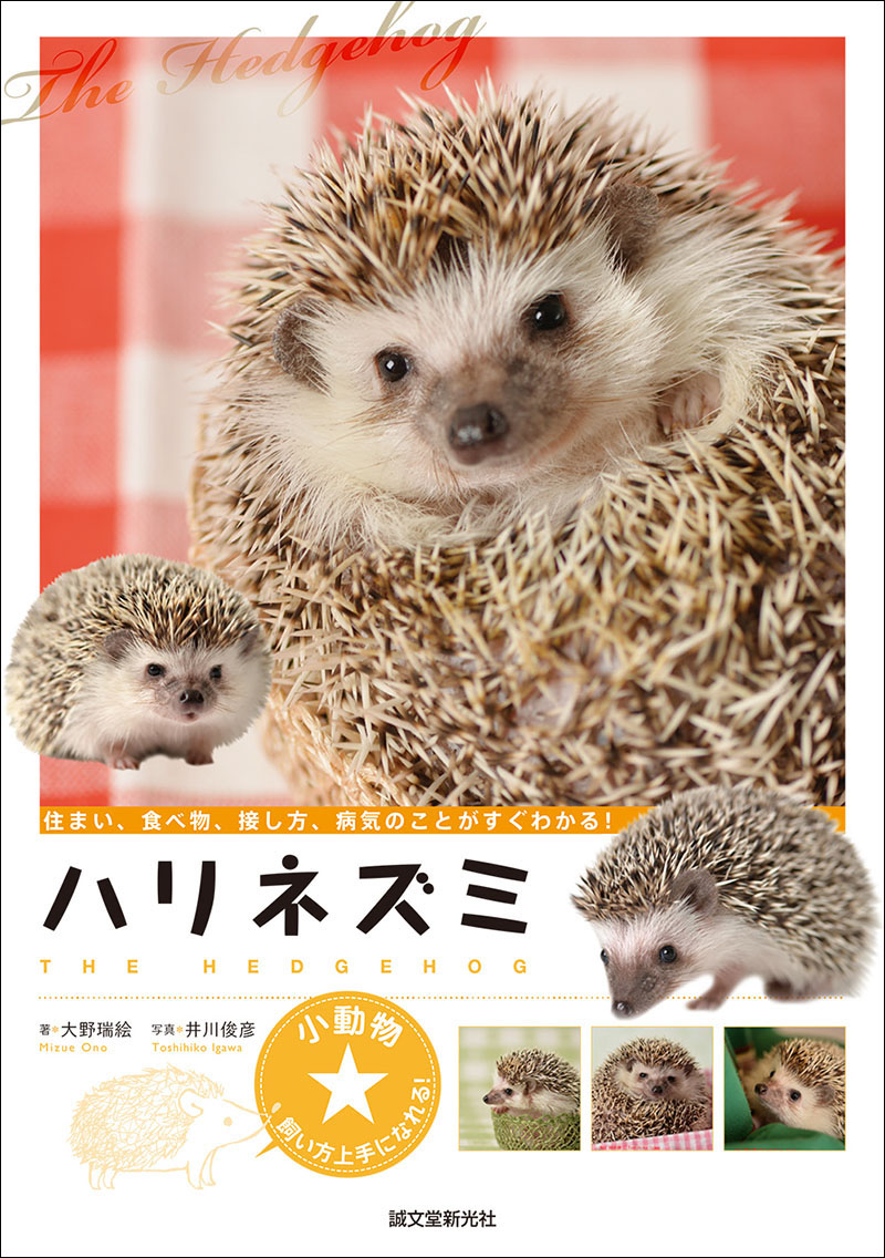ハリネズミ | 株式会社誠文堂新光社