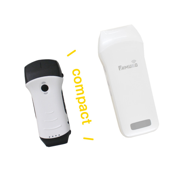 USB&Wi-Fi接続可能 超音波画像測定「FAMUBO-Z」｜体組成の研究・開発の