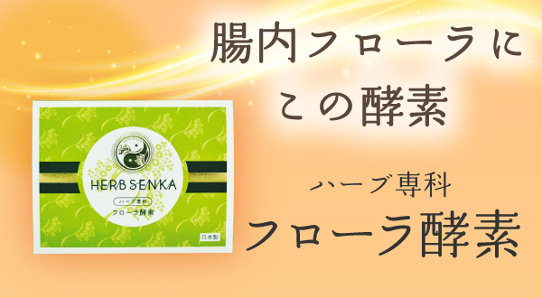 ハーブ専科フローラ酵素 60包/箱