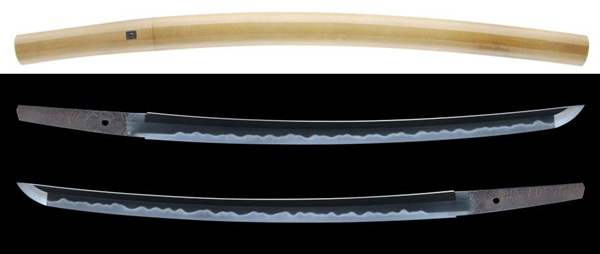 脇差 津田近江守助直(WA-010314)｜刀・日本刀の販売なら日本刀専門店の