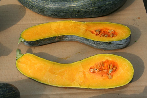 季節限定商品】パンプキンエール(かぼちゃエール)330ml×4本 ハロウィン