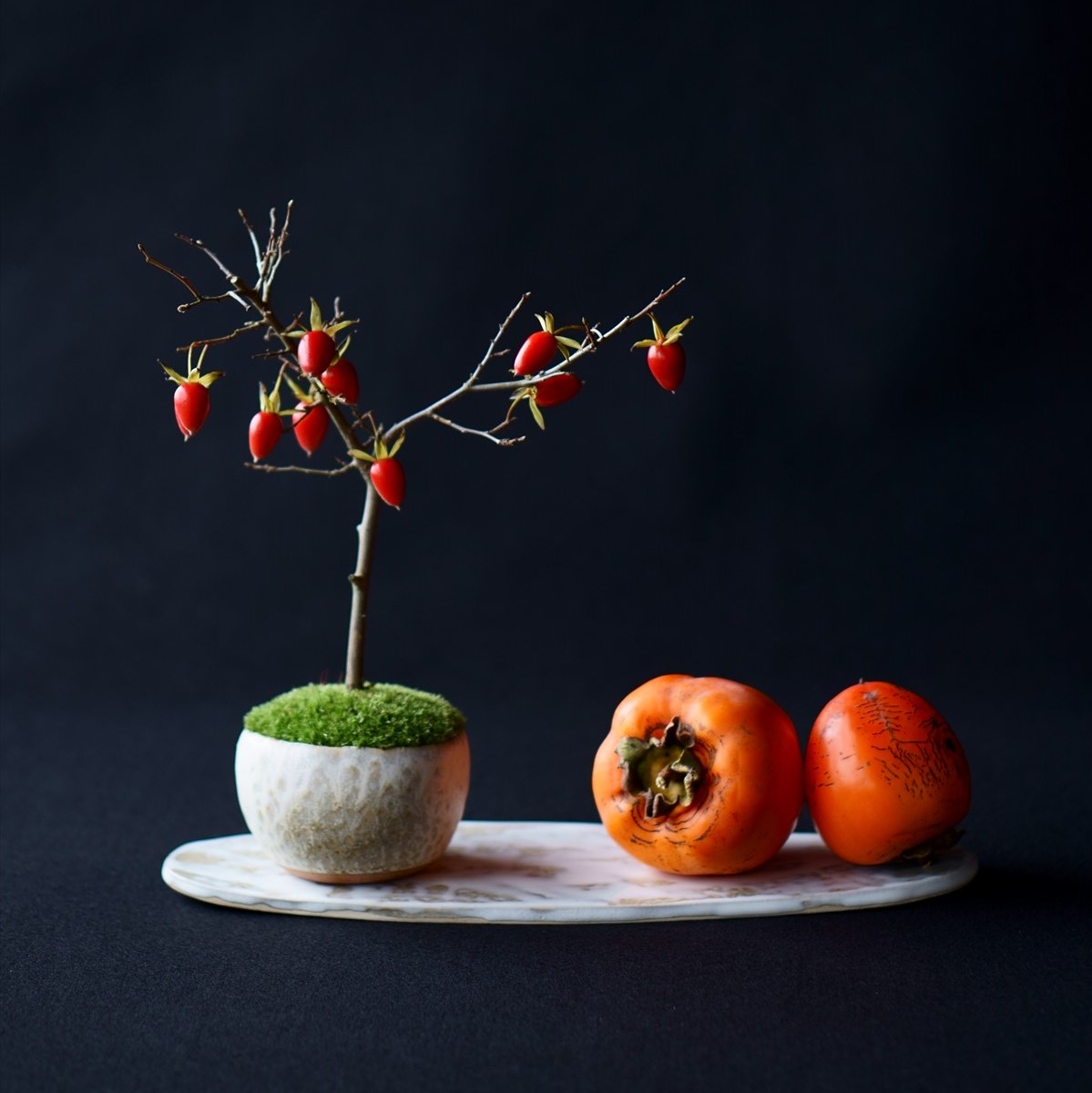 ロウヤガキ｜石木花図鑑｜石木花｜SEKIBOKKA｜盆栽