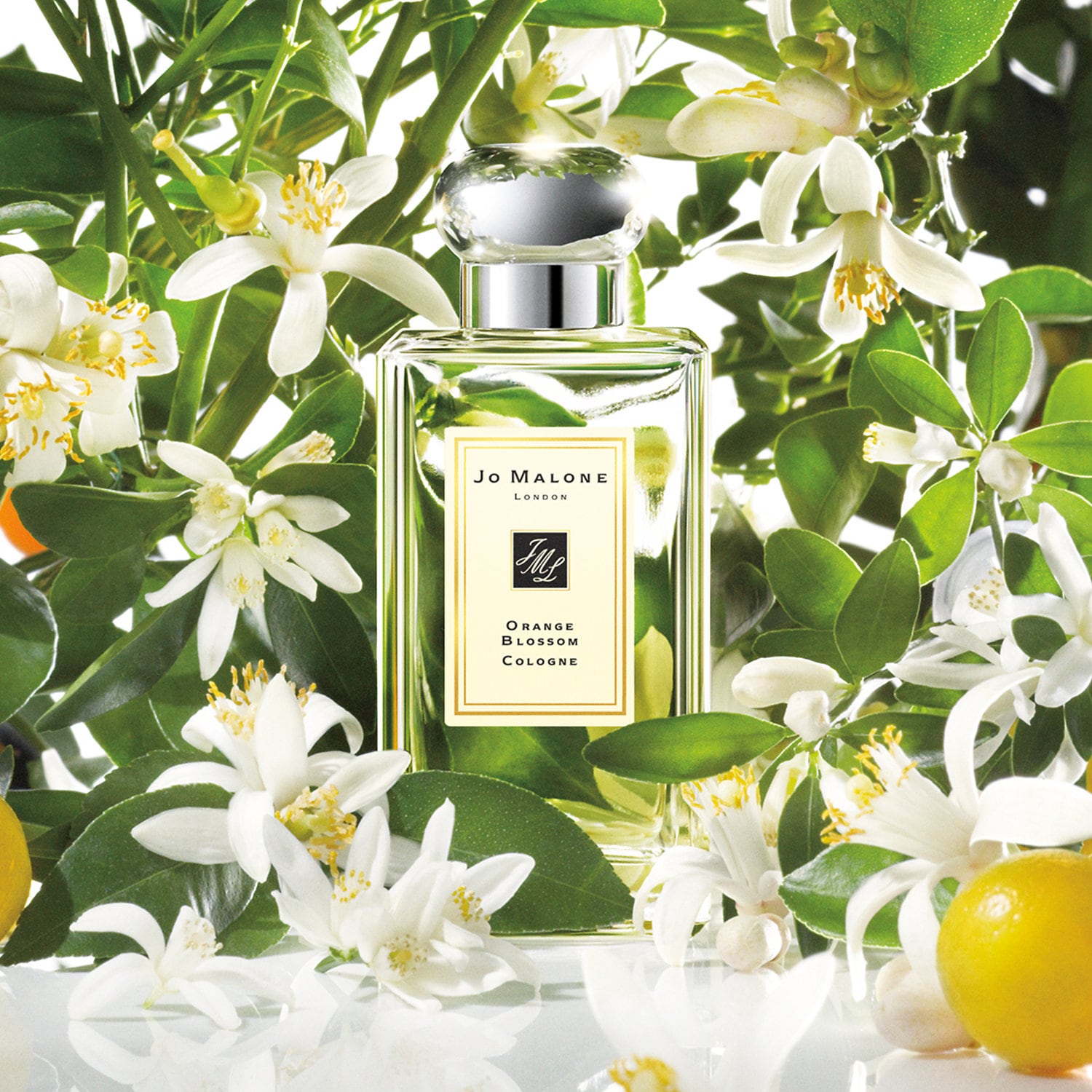 Orange Blossom Cologne - Jo Malone London | Sephora