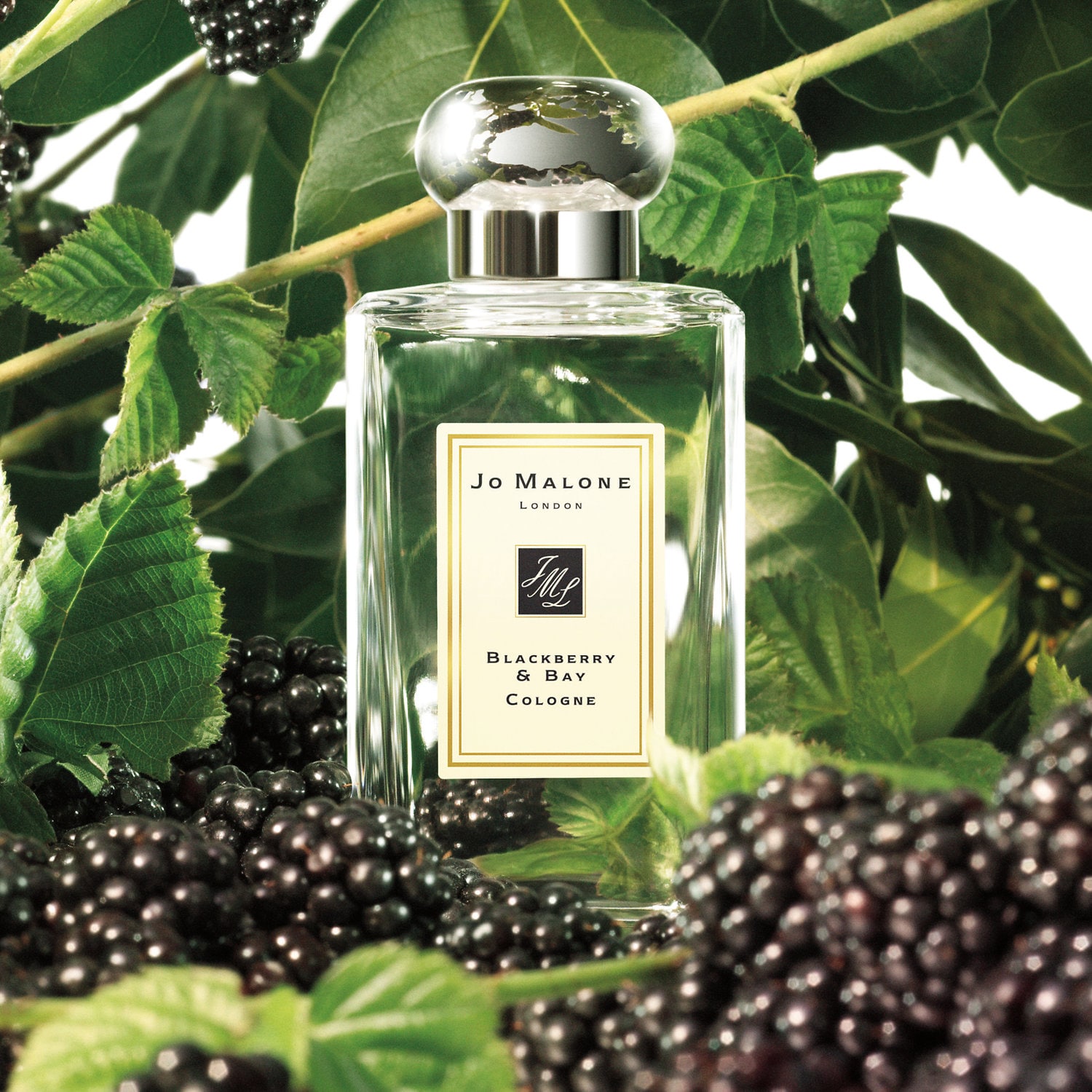 Blackberry & Bay Cologne - Jo Malone London | Sephora