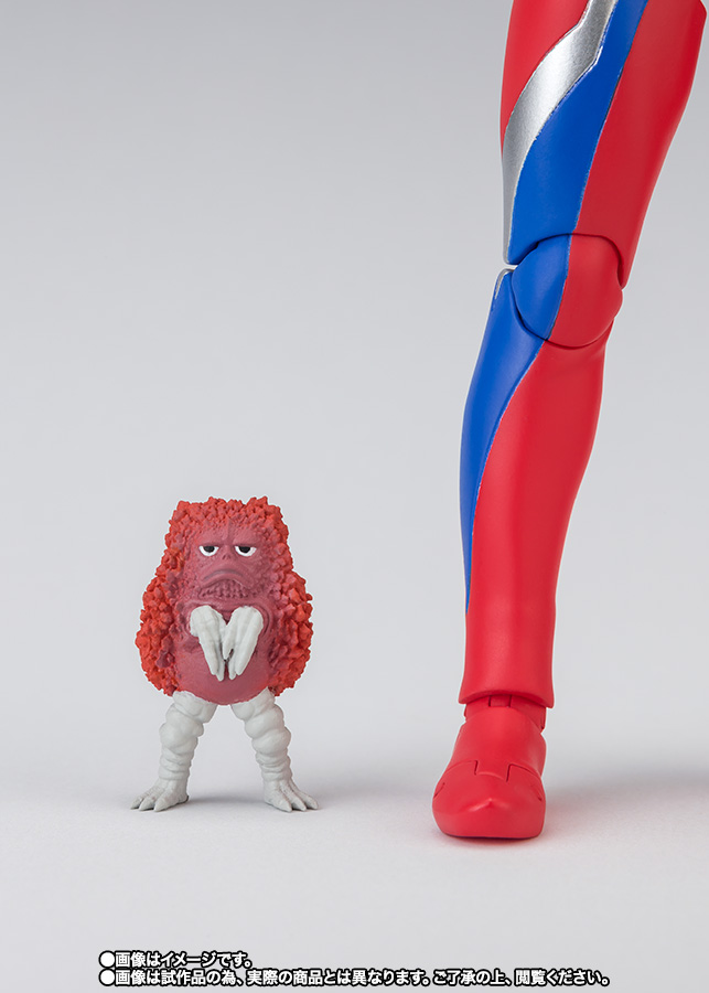 S.H.Figuarts TECTOR GEAR ZERO : SHFiguarts.com