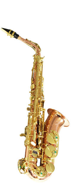 Festi (フェスティ) オリジナルブランド | 島村楽器